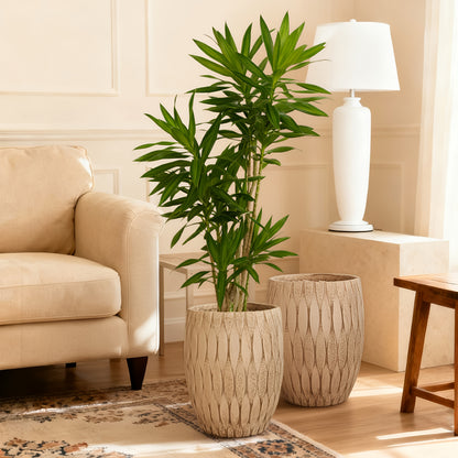 Set of camel color planter for modern home decor